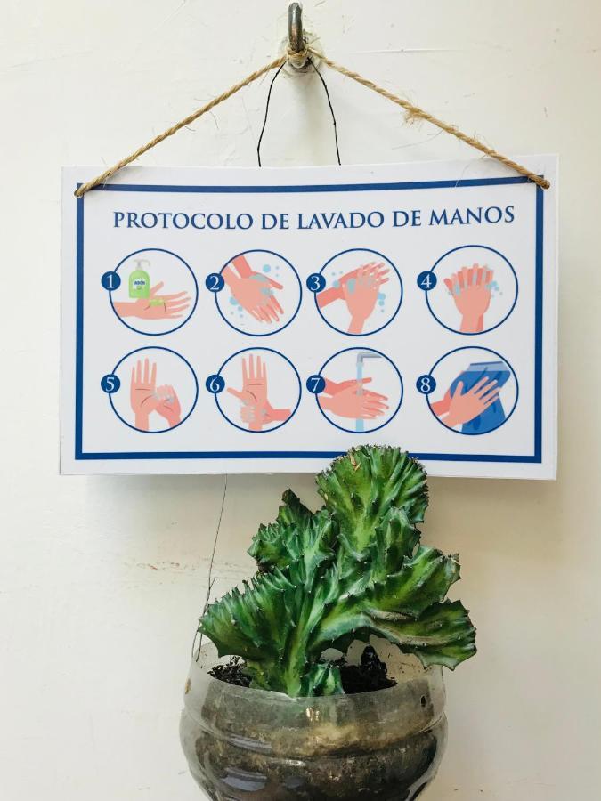 Casa Mama Waldy Hostel Cartagena Dış mekan fotoğraf